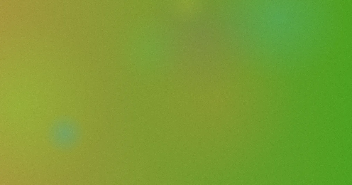 丝袜美腿视频是什么